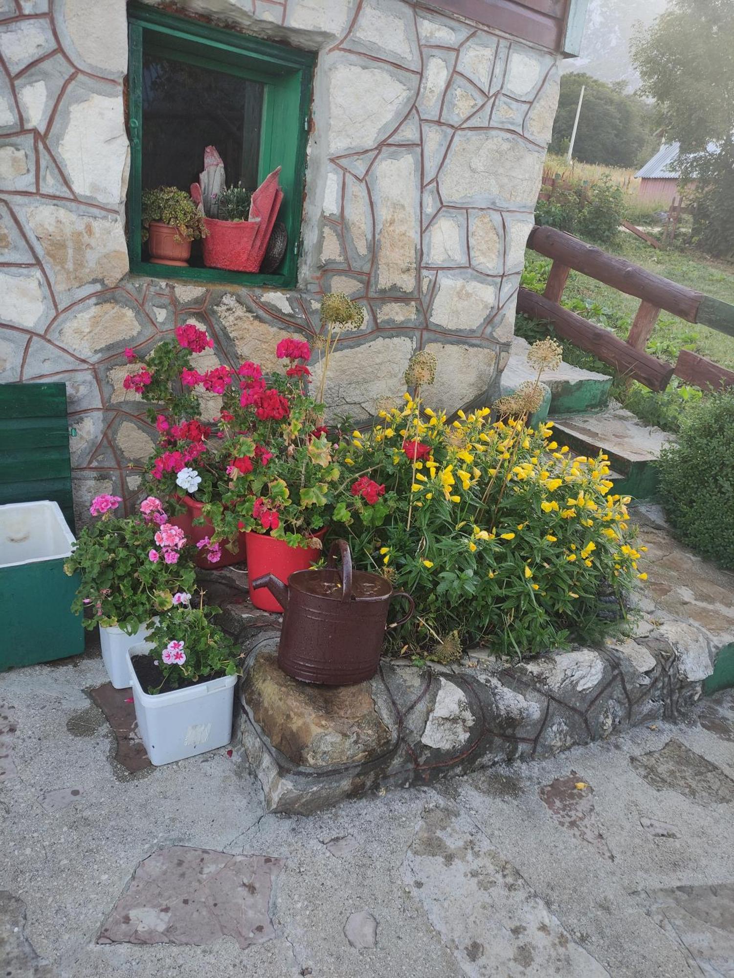 Durmitorska Koliba Sa Kupatilom Villa Žabljak Стая снимка