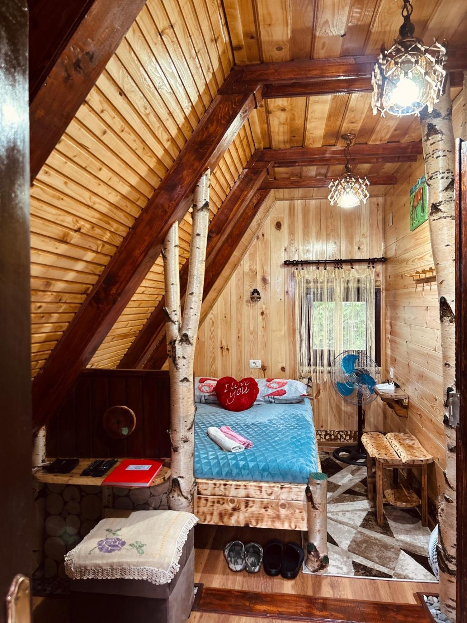 Durmitorska Koliba Sa Kupatilom Villa Žabljak Екстериор снимка